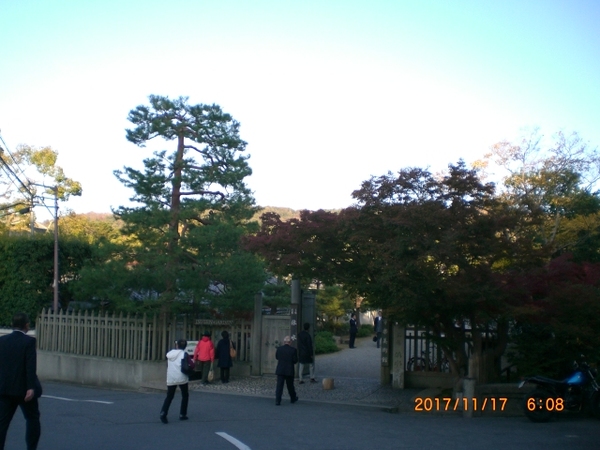 2017-11-17 06.08.49.jpg
