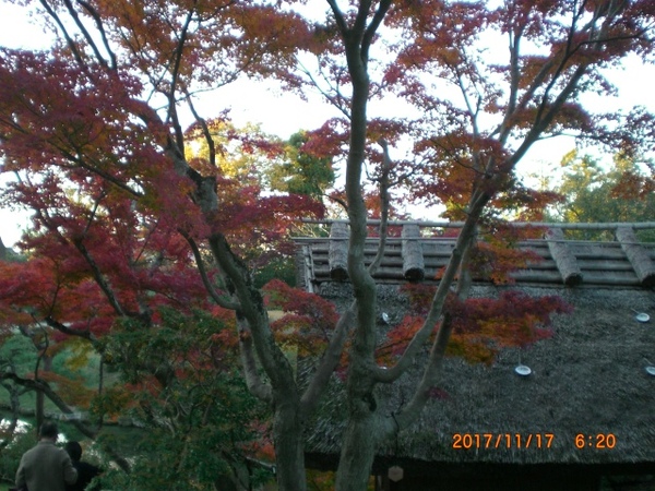 2017-11-17 06.20.51.jpg