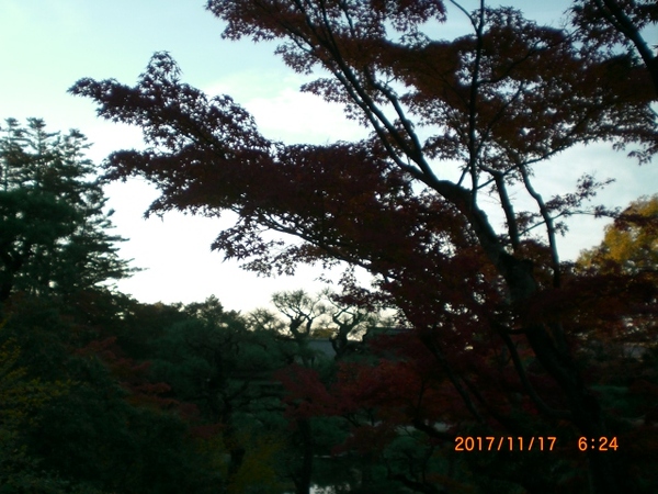 2017-11-17 06.24.25.jpg