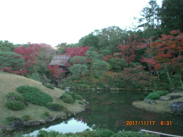 2017-11-17 06.31.40.jpg