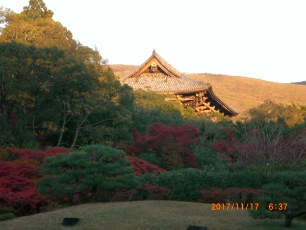 2017-11-17 06.37.39.jpg