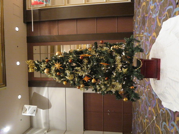 2016-12-19 18.26.59.jpg