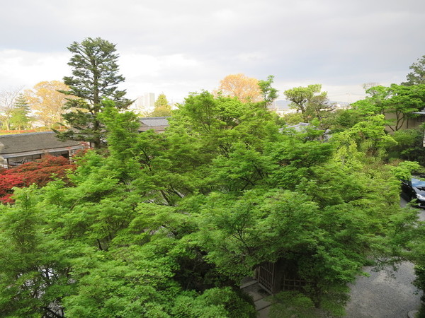 2017-04-24 17.44.06.jpg